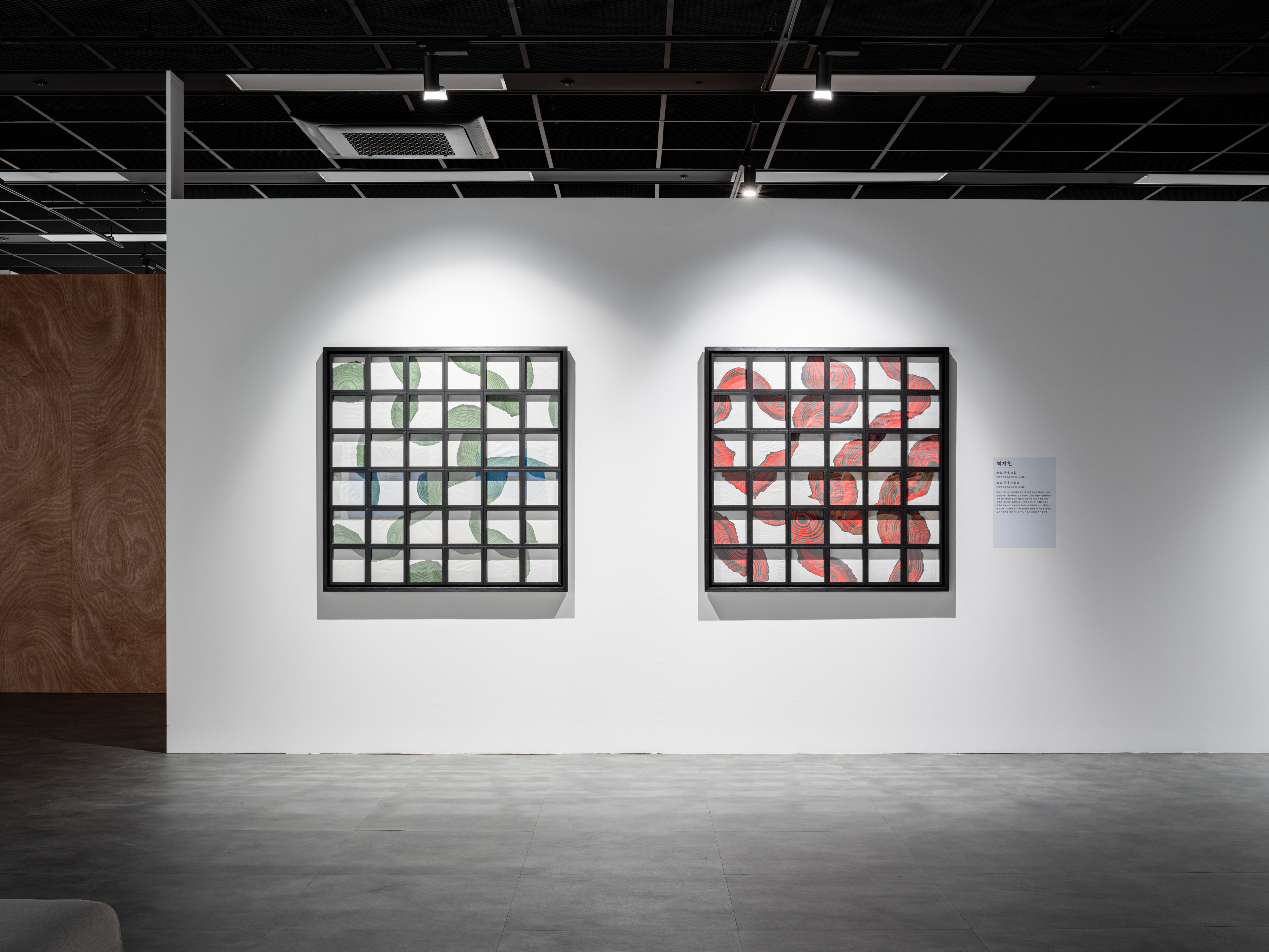 54d101a99f26f0dcaae695b04cffad6d.jpg 최지현 <숨을쉬다_호흡> 연작 작품 사진