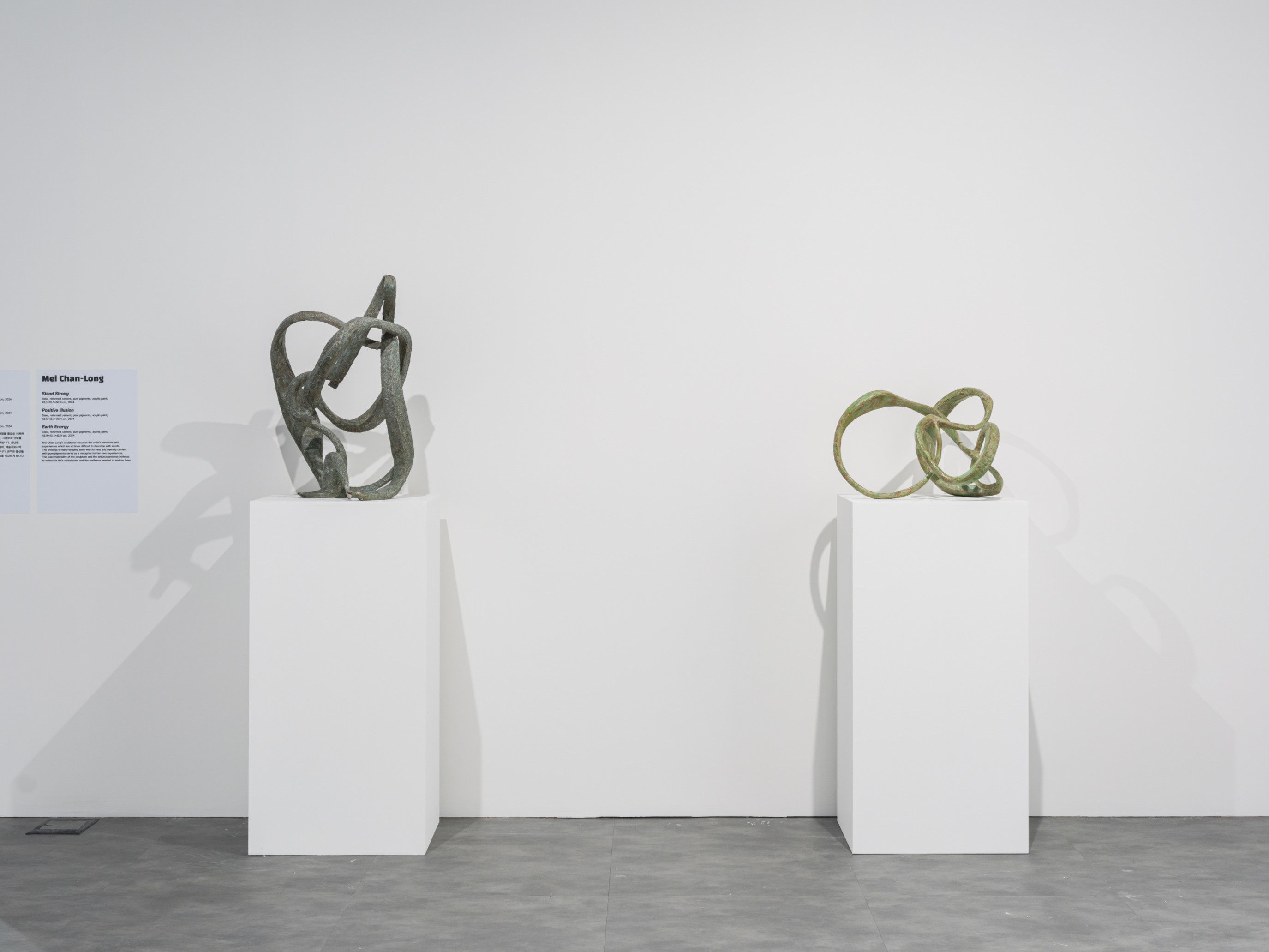 79f534fde58a21167ec112d3b6d2c84e.jpg 메이 첸 롱 작품 사진. 흰 가벽 앞에 흰 좌대가 2개 있다. 왼쪽엔 <꿋꿋이 서기>, 오른쪽엔 <긍정적 착각>이라는 제목의 유선형으로 구부러진 철제 조형물이 서 있다. 조형물은 거친 표면에 대칭을 이루지 않고 자유롭게 뻗어있으며 뭉쳐있는 작은 실타래처럼 보이기도 한다.